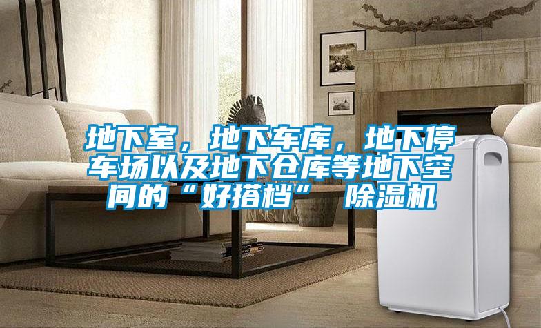 地下室，地下車庫(kù)，地下停車場(chǎng)以及地下倉(cāng)庫(kù)等地下空間的“好搭檔” 除濕機(jī)