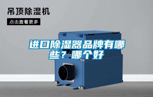 進口除濕器品牌有哪些？哪個好