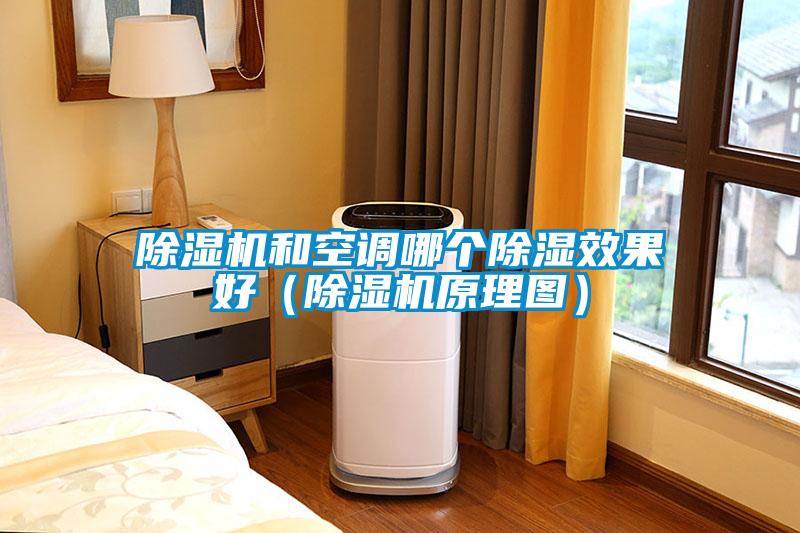 除濕機(jī)和空調(diào)哪個除濕效果好（除濕機(jī)原理圖）