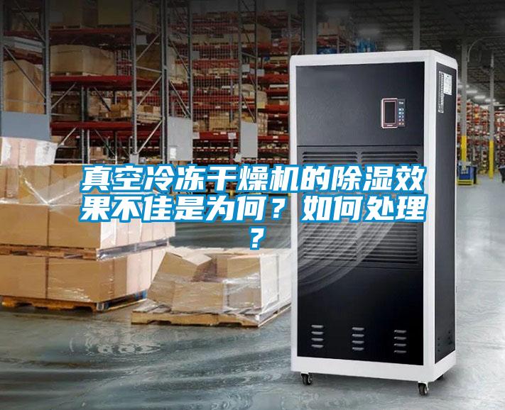真空冷凍干燥機的除濕效果不佳是為何？如何處理？