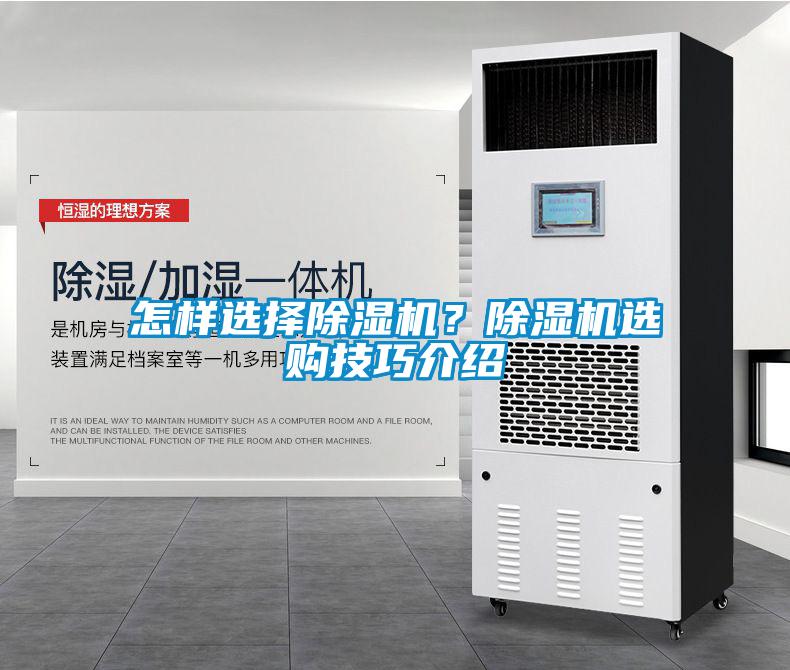 怎樣選擇除濕機？除濕機選購技巧介紹