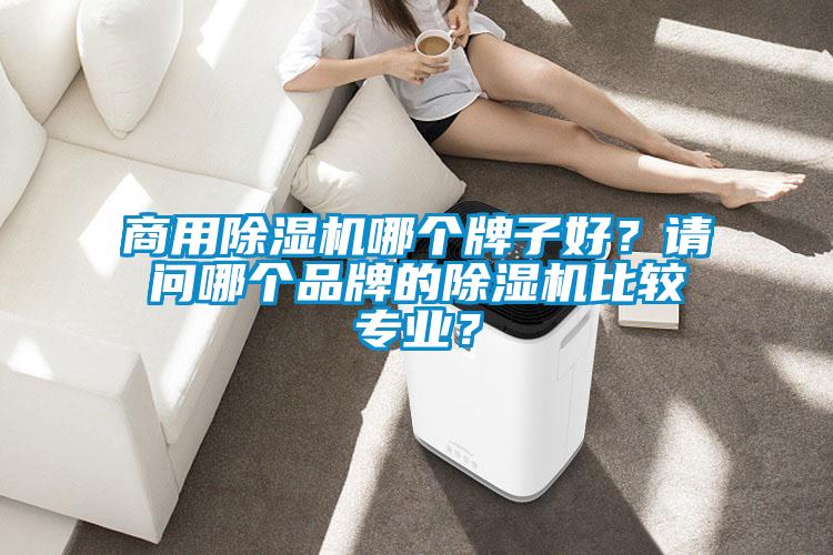 商用除濕機哪個牌子好？請問哪個品牌的除濕機比較專業(yè)？