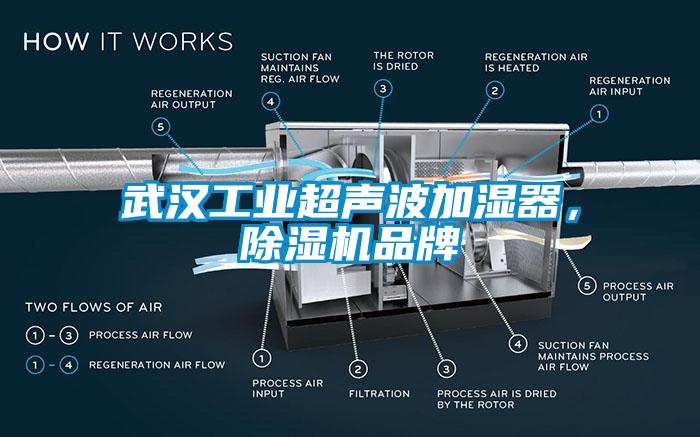 武漢工業(yè)超聲波加濕器，除濕機(jī)品牌