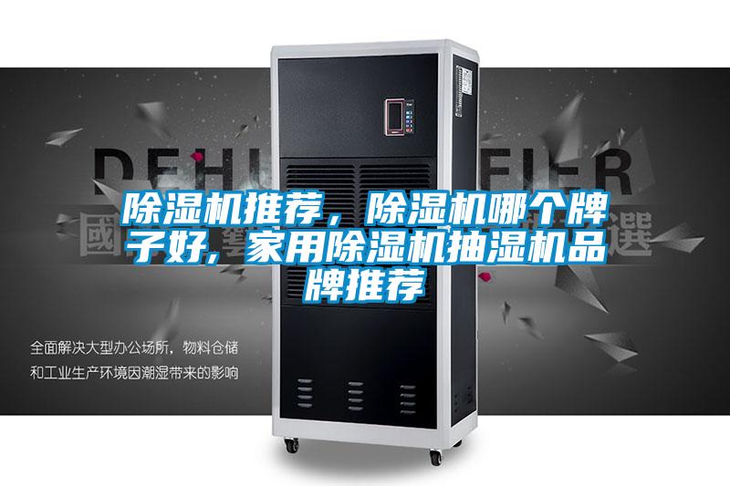 除濕機推薦，除濕機哪個牌子好, 家用除濕機抽濕機品牌推薦