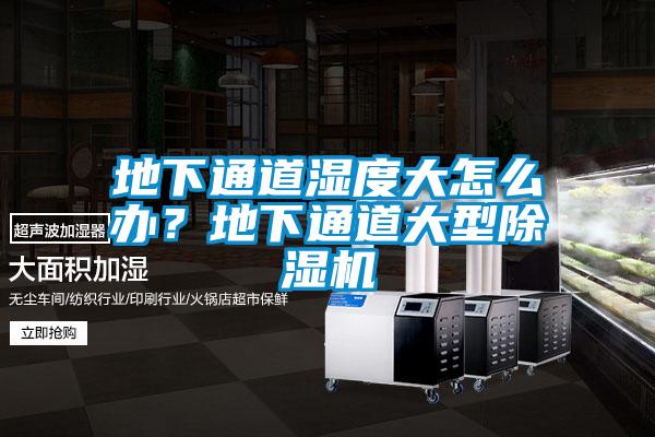 地下通道濕度大怎么辦？地下通道大型除濕機(jī)