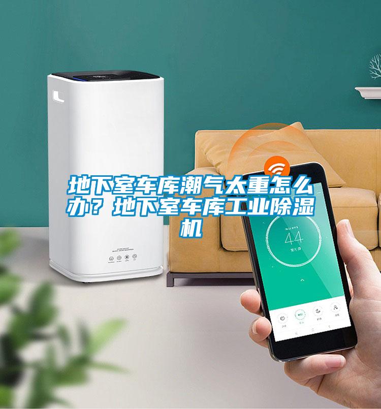地下室車庫潮氣太重怎么辦？地下室車庫工業(yè)除濕機(jī)