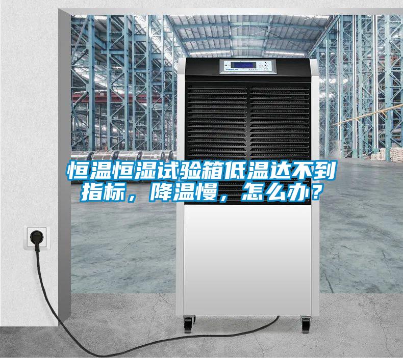 恒溫恒濕試驗箱低溫達不到指標(biāo)，降溫慢，怎么辦？