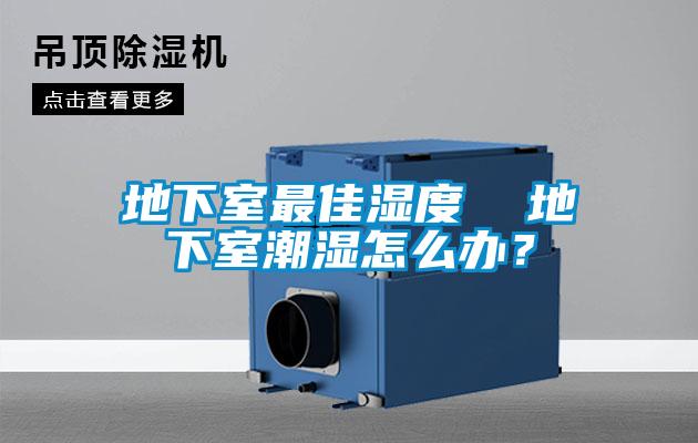地下室最佳濕度  地下室潮濕怎么辦？