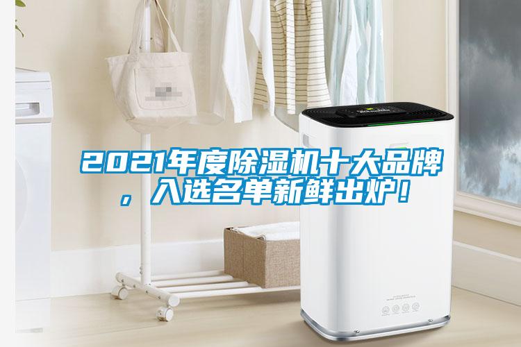 2021年度除濕機十大品牌，入選名單新鮮出爐！