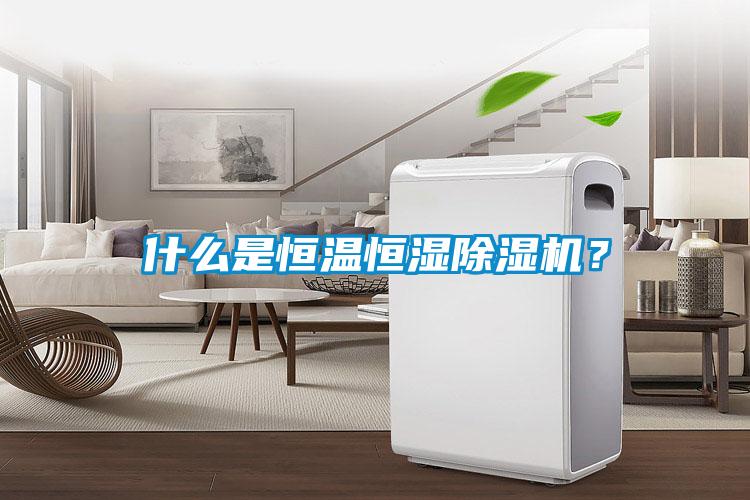 什么是恒溫恒濕除濕機(jī)？