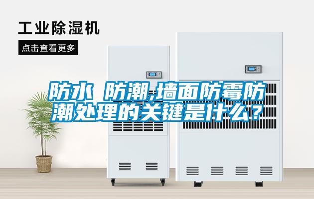 防水≠防潮,墻面防霉防潮處理的關(guān)鍵是什么？
