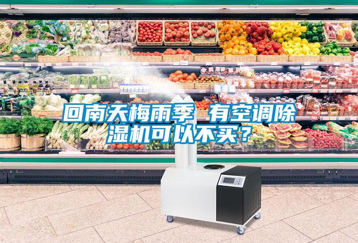 回南天梅雨季 有空調(diào)除濕機可以不買？