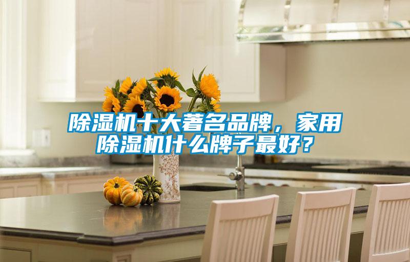 除濕機(jī)十大著名品牌，家用除濕機(jī)什么牌子最好？