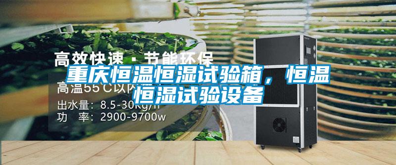 重慶恒溫恒濕試驗(yàn)箱，恒溫恒濕試驗(yàn)設(shè)備