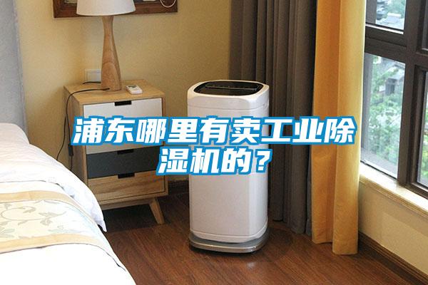 浦東哪里有賣工業(yè)除濕機的？