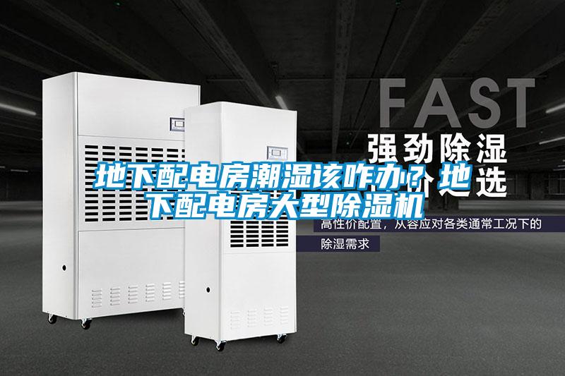 地下配電房潮濕該咋辦？地下配電房大型除濕機