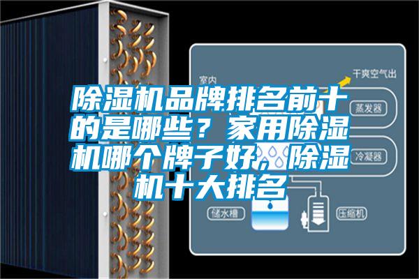 除濕機品牌排名前十的是哪些？家用除濕機哪個牌子好，除濕機十大排名