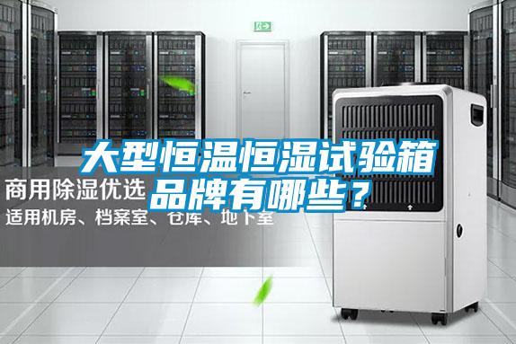大型恒溫恒濕試驗(yàn)箱品牌有哪些？