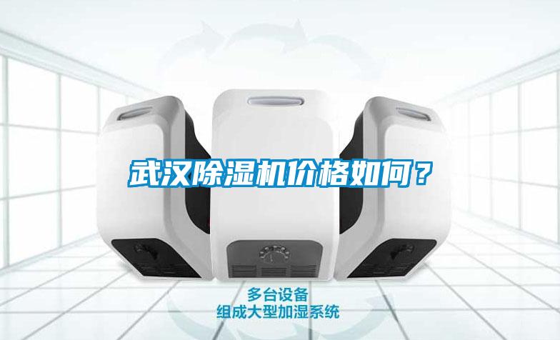 武漢除濕機價格如何？
