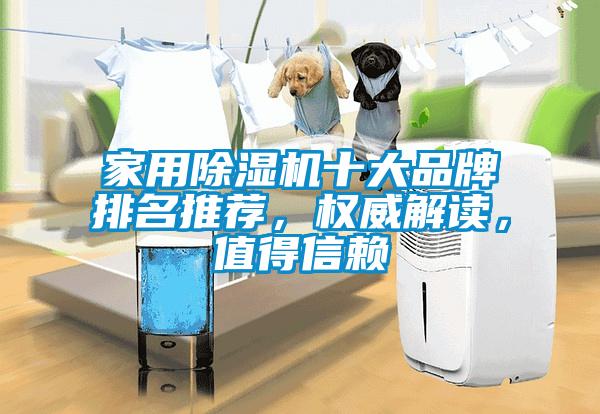 家用除濕機(jī)十大品牌排名推薦，權(quán)威解讀，值得信賴(lài)