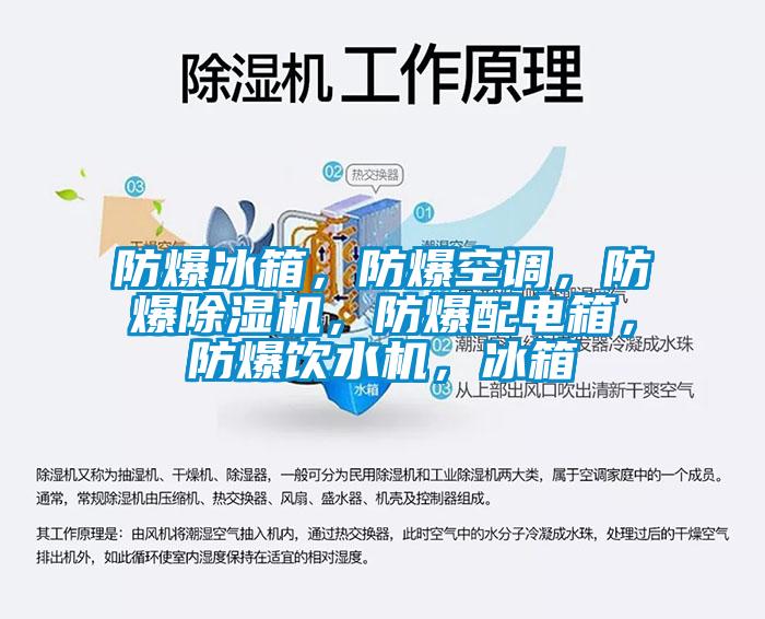 防爆冰箱，防爆空調(diào)，防爆除濕機，防爆配電箱，防爆飲水機，冰箱