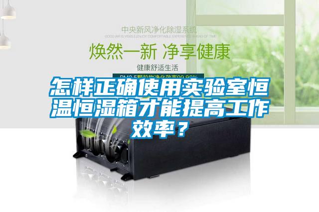 怎樣正確使用實(shí)驗(yàn)室恒溫恒濕箱才能提高工作效率？