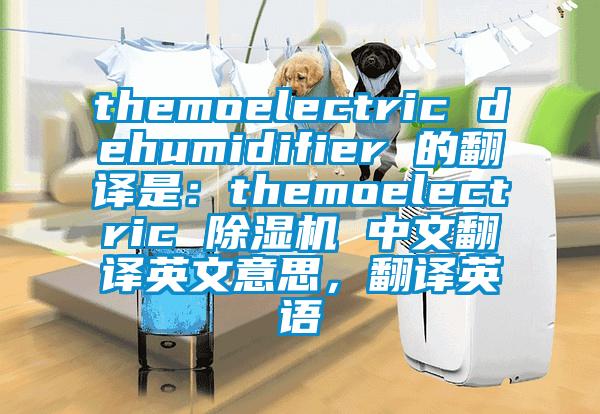 themoelectric dehumidifier 的翻譯是：themoelectric 除濕機(jī) 中文翻譯英文意思，翻譯英語