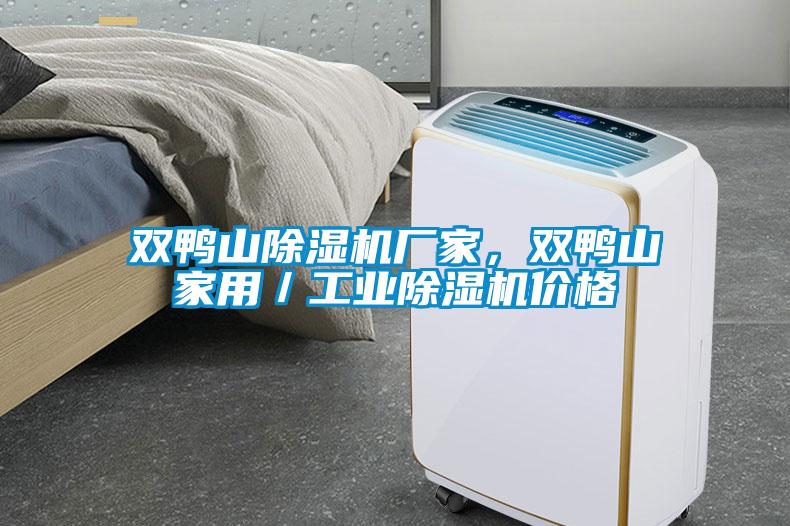 雙鴨山除濕機(jī)廠家，雙鴨山家用／工業(yè)除濕機(jī)價(jià)格
