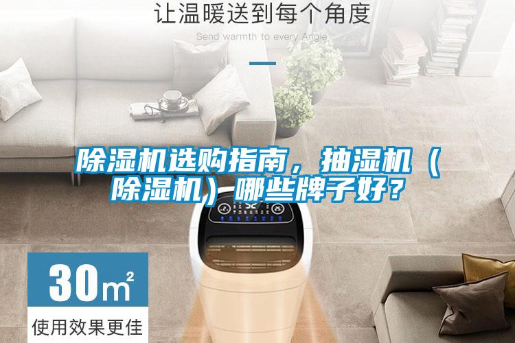 除濕機(jī)選購(gòu)指南，抽濕機(jī)（除濕機(jī)）哪些牌子好？