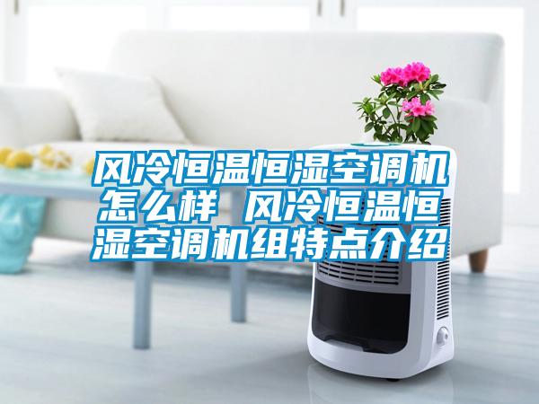 風(fēng)冷恒溫恒濕空調(diào)機怎么樣 風(fēng)冷恒溫恒濕空調(diào)機組特點介紹