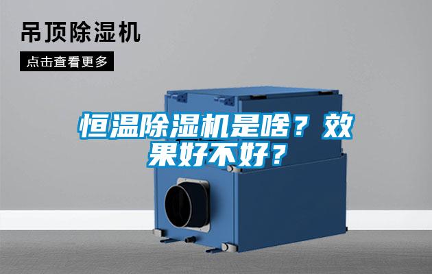 恒溫除濕機是啥？效果好不好？