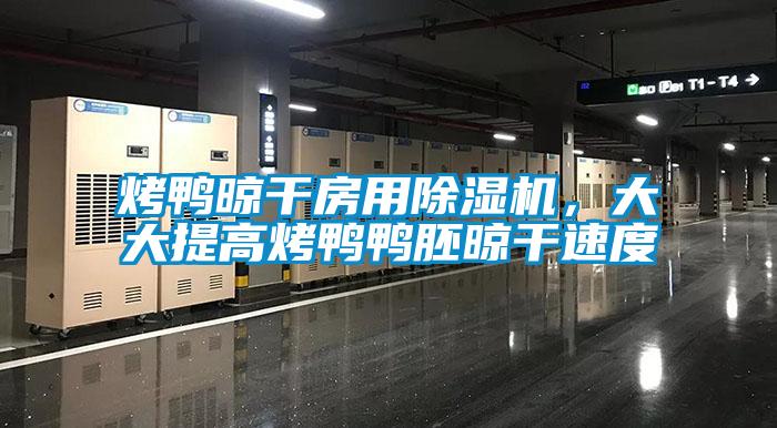 烤鴨晾干房用除濕機，大大提高烤鴨鴨胚晾干速度