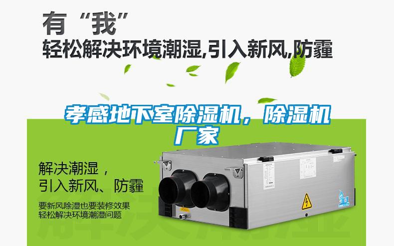 孝感地下室除濕機(jī)，除濕機(jī)廠家
