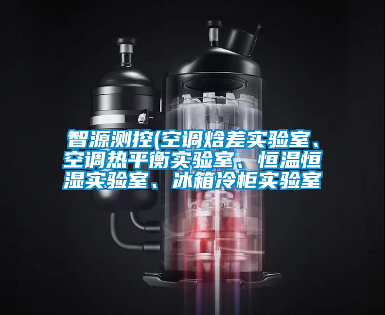 智源測(cè)控(空調(diào)焓差實(shí)驗(yàn)室、空調(diào)熱平衡實(shí)驗(yàn)室、恒溫恒濕實(shí)驗(yàn)室、冰箱冷柜實(shí)驗(yàn)室