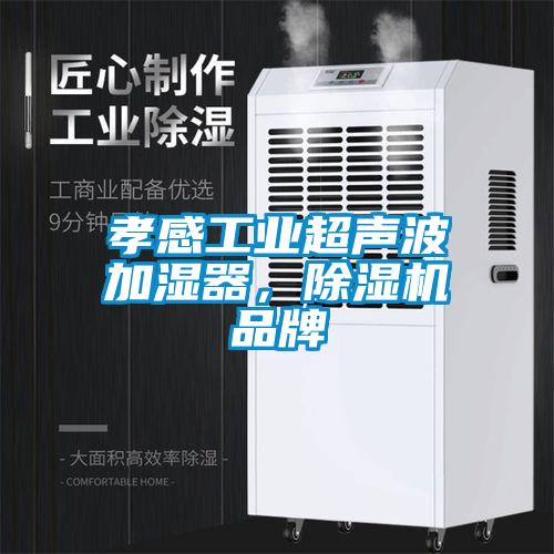 孝感工業(yè)超聲波加濕器，除濕機(jī)品牌
