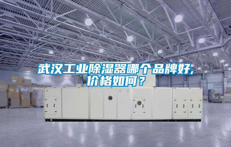 武漢工業(yè)除濕器哪個品牌好,價格如何？