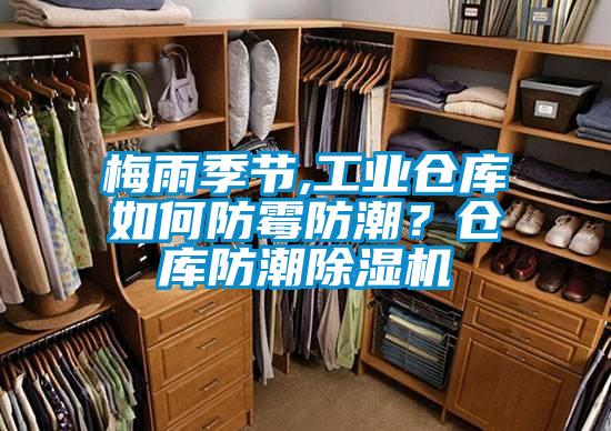 梅雨季節(jié),工業(yè)倉(cāng)庫(kù)如何防霉防潮？倉(cāng)庫(kù)防潮除濕機(jī)