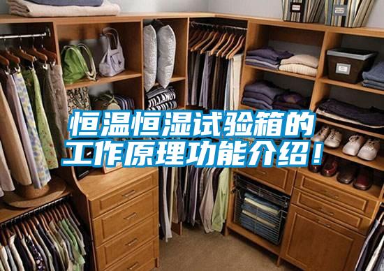 恒溫恒濕試驗(yàn)箱的工作原理功能介紹！
