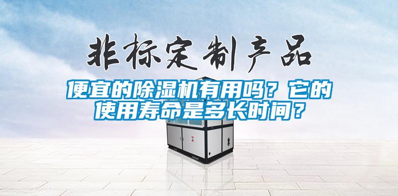 便宜的除濕機(jī)有用嗎？它的使用壽命是多長(zhǎng)時(shí)間？