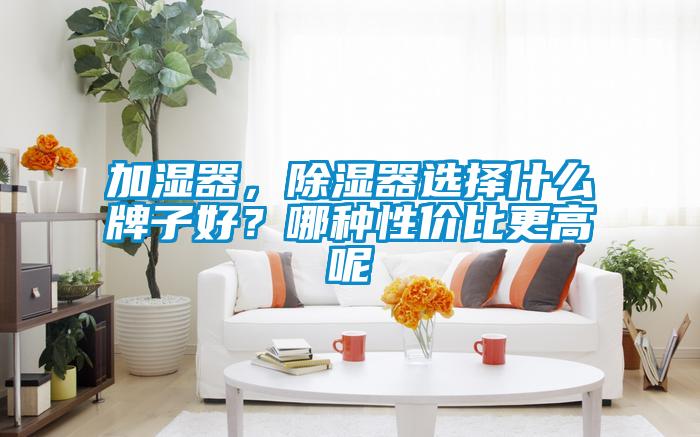 加濕器，除濕器選擇什么牌子好？哪種性價(jià)比更高呢