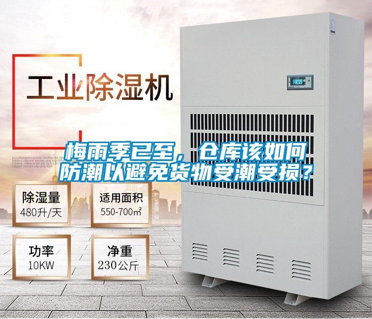 梅雨季已至，倉(cāng)庫(kù)該如何防潮以避免貨物受潮受損？