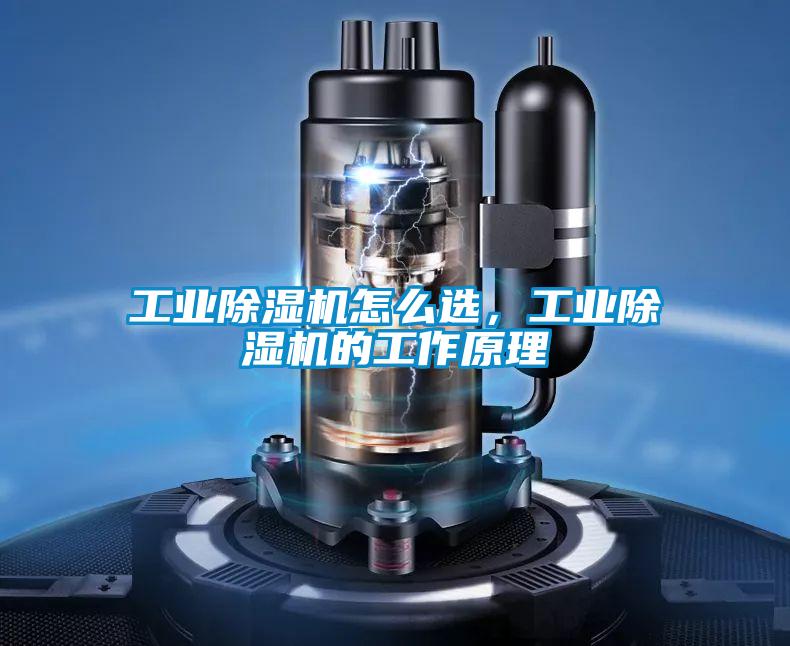 工業(yè)除濕機(jī)怎么選，工業(yè)除濕機(jī)的工作原理
