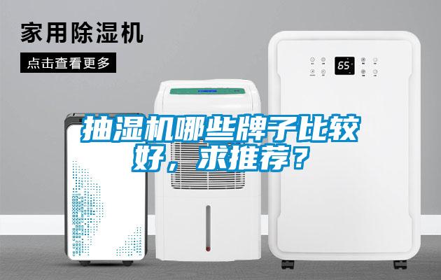 抽濕機(jī)哪些牌子比較好，求推薦？