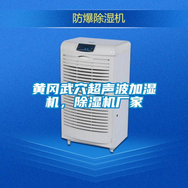 黃岡武穴超聲波加濕機(jī)，除濕機(jī)廠家