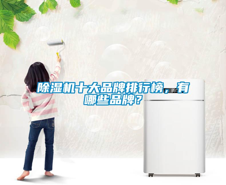 除濕機十大品牌排行榜，有哪些品牌？