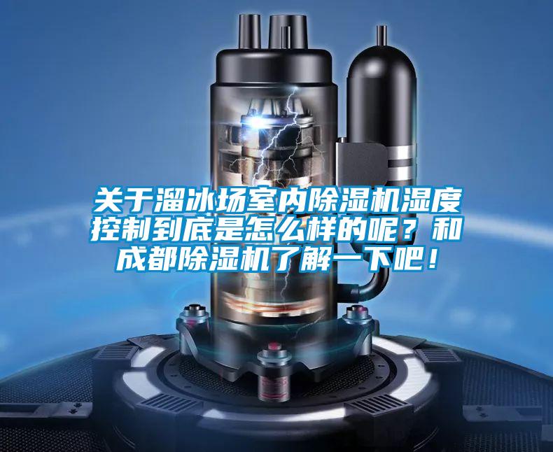 關(guān)于溜冰場(chǎng)室內(nèi)除濕機(jī)濕度控制到底是怎么樣的呢？和成都除濕機(jī)了解一下吧！