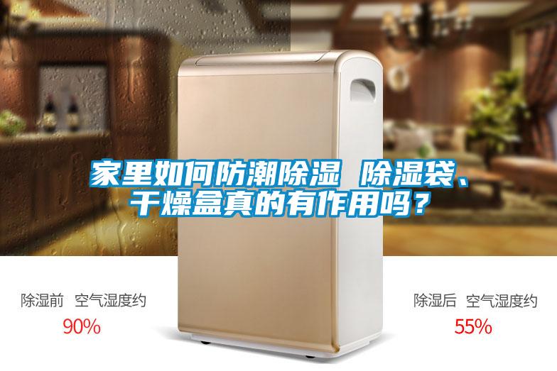 家里如何防潮除濕 除濕袋、干燥盒真的有作用嗎？