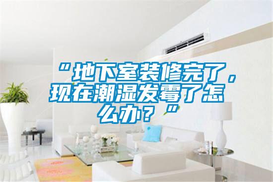 “地下室裝修完了，現(xiàn)在潮濕發(fā)霉了怎么辦？”