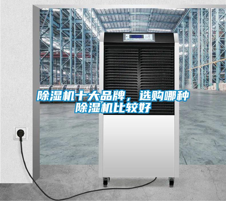 除濕機(jī)十大品牌，選購(gòu)哪種除濕機(jī)比較好