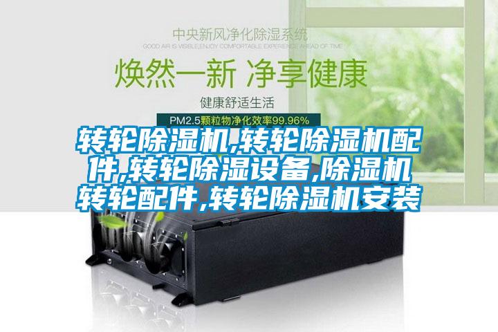 轉(zhuǎn)輪除濕機,轉(zhuǎn)輪除濕機配件,轉(zhuǎn)輪除濕設(shè)備,除濕機轉(zhuǎn)輪配件,轉(zhuǎn)輪除濕機安裝